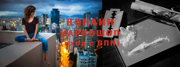 гидра Богданович