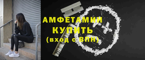 гидра Богданович