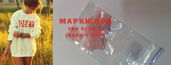 гидра Богданович