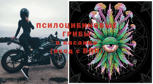 ешки Богородск