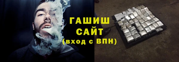 гидра Богданович