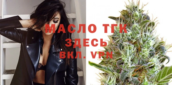 гидра Богданович