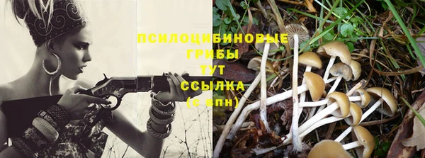 а пвп мука Богородицк
